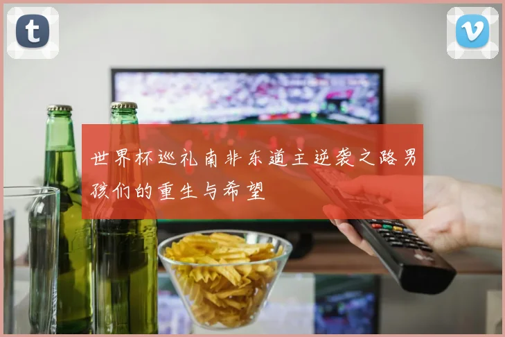 世界杯巡礼南非东道主逆袭之路男孩们的重生与希望