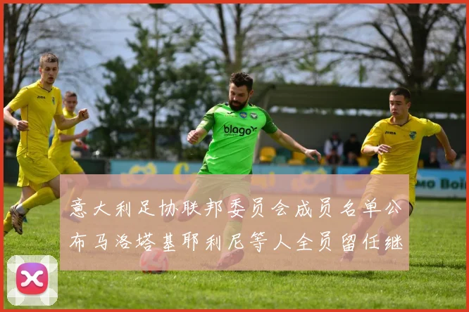 意大利足协联邦委员会成员名单公布马洛塔基耶利尼等人全员留任继续服务