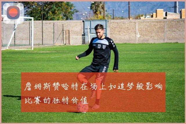詹姆斯赞哈特在场上如追梦般影响比赛的独特价值
